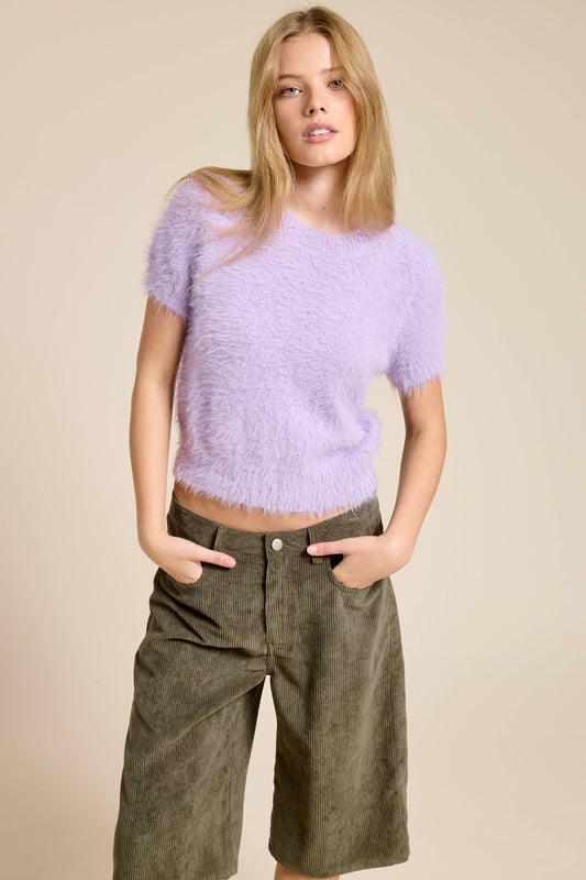 Fuzzy Knit Cropped Short Sleeve Sweater