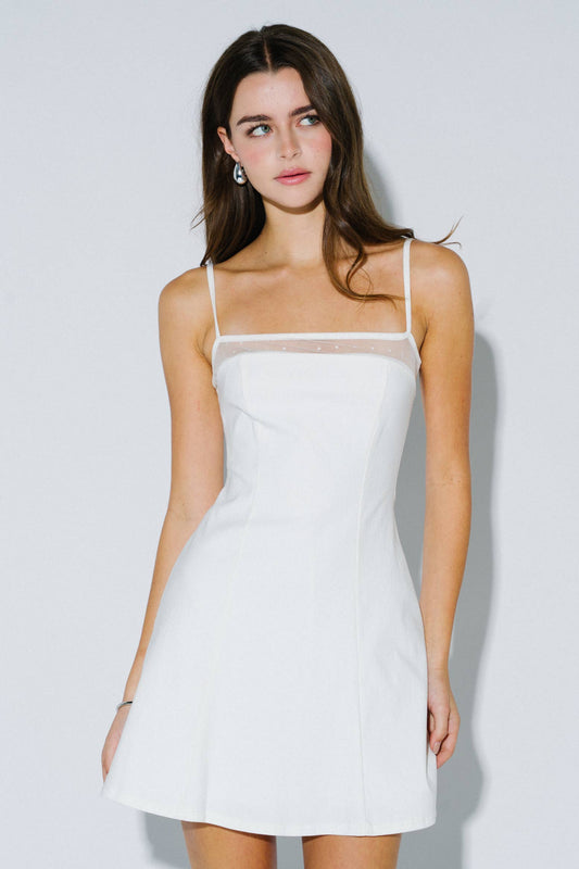 Polka Dot Mesh Contrast A-Line Mini Dress