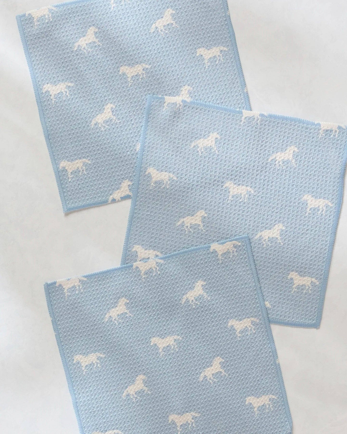 Steady Path Dishcloth Set